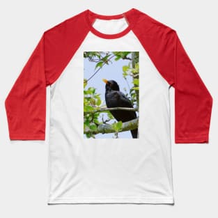 Merle - blackbird   01 (c)(h) by Olao-Olavia / Okaio Créations panasonic fz 200 (1200 mm) mai 2013 Baseball T-Shirt